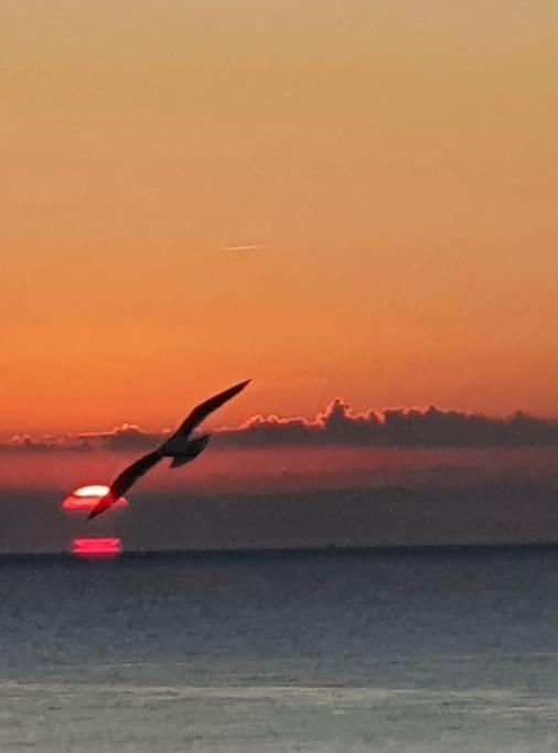 Le Chant Des Vagues Sète Esterno foto